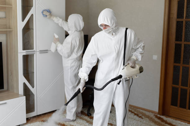 Best Mold Damage Repair  in Olney, IL