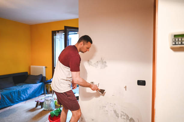 Best Black Mold Removal  in Olney, IL